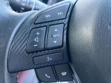 手元で操作が出来るオーディオスイッチやハンズフリースイッチを装備。