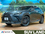 禁煙 パノラマルーフ フルエアロ 14型ナビ 全集胃カメラ 赤革シート