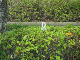 目線を下げないでスピード確認。