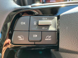 追従式のクルーズコントロール付きですので前車についていき、自動で加減速してくれます。