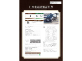 サクラ X 