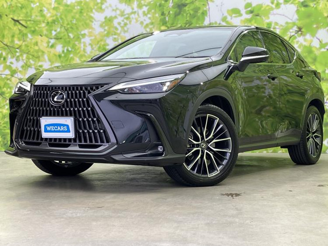 NX 350h 