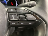 前方の車との車間を設定し、スピードを上げたり緩めたりを自動で行ってくれる追尾式の「レーダークルーズ」。上級装備の一つです!高級車にしかつかない嬉しい機能です。