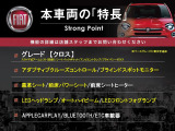 500X  クロス
