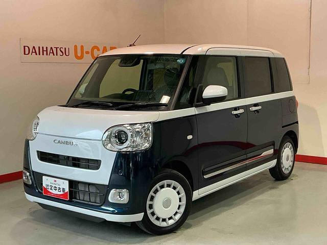 ムーヴキャンバス  ストライプス G