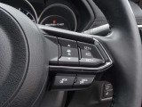 MRCCの操作スイッチや表示を確認できます。長距離運転時の負担軽減に役立ちます。