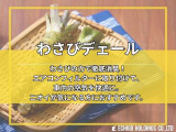 わさびの力で徹底消臭!エアコンフィルターに取り付けて、車内の空気を快適に。ニオイが気になる方におすすめです。