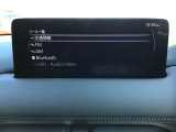 オーディオソースはこのようになっています。