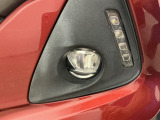 フォグライトは、霧などの悪天候時、自車の位置を示すとともに前方や路肩が見えずらい時、近い位置をワイドに照らしてくれます。