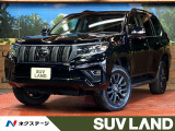 パノラミックビューモニター ブラインドスポットモニター 9型ディスプレイ