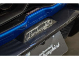Lower exterior carbon package - shiny