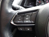 【ステアリングスイッチ】ステアリングスイッチは運転姿勢や視線を崩さずに操作が可能です。左側にはオーディオ類があります。