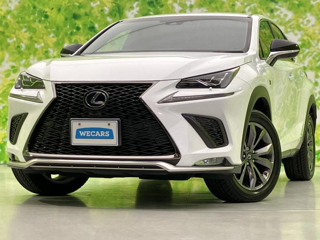 NX 300h Fスポーツ