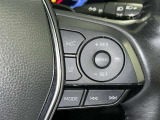 クルーズコントロール機能が付いています。 速度を設定するとアクセルを踏まなくても一定の速度で走ることができます。  高速道路ではとても便利な装置なんです。