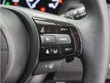 ◆アダプティブクルーズコントロール◆予め設定した車速内でクルマが自動的に加減速。前走車との適切な車間距離を維持しながら追従走行します。【LKAS】車線維持支援システムでステアリング操作を支援。