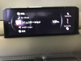 オーディオソースはこのようになっています。
