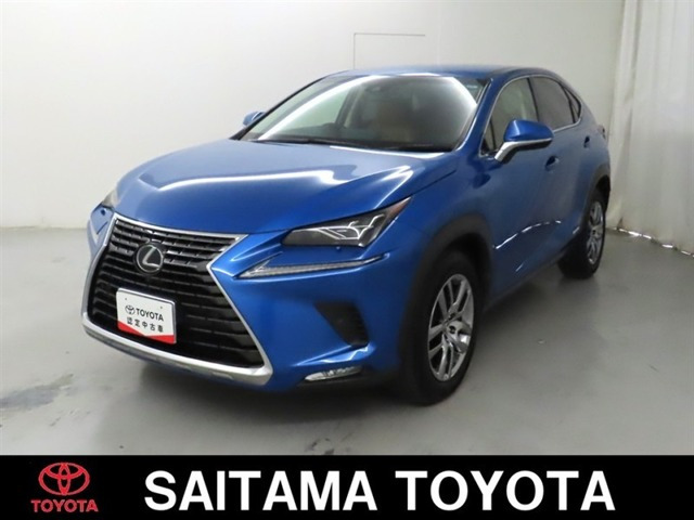 NX 300h バージョンL