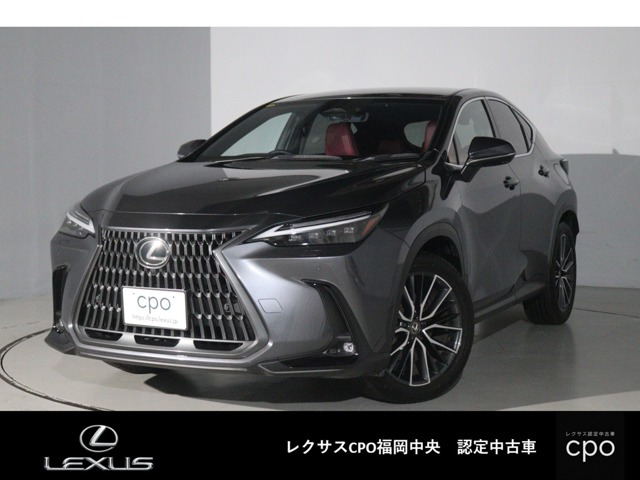 NX  