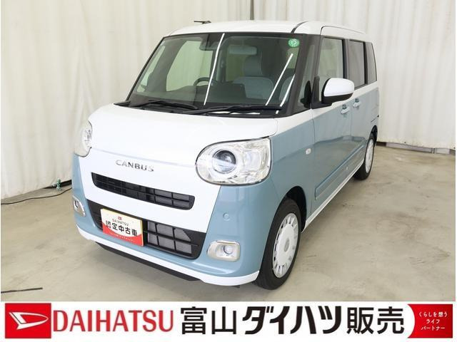 ムーヴキャンバス  ストライプス G