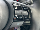 追従型クルーズコントロールスイッチです