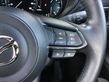 レーダークルーズコントロールを装備。アクセルやブレーキを操作しなくても、自動で先行車との車間距離を保ち追従走行できます。長距離や高速道路を運転する際に、ドライバーへの負担を軽減します。