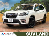 ダイアトーンナビ 視界拡張 電動リアゲート ルーフレール 柿本マフラー