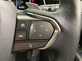 前方の車との車間を設定し、スピードを上げたり緩めたりを自動で行ってくれる追尾式の「レーダークルーズ」。上級装備の一つです!高級車にしかつかない嬉しい機能です。