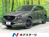 レーダークルーズ BOSE 禁煙車 電動リアゲート ハーフレザーシート