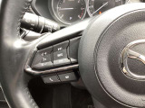 ステアリング左にはオーディオ系システムがまとまっており、運転中の快適性をサポートしてくれます。