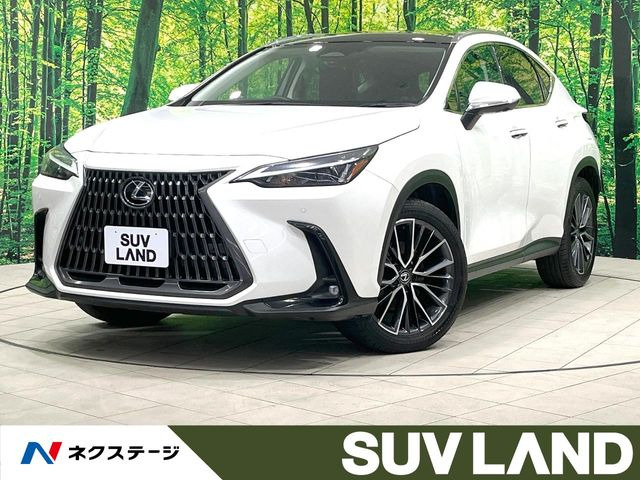 NX 350h 
