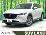 禁煙車 純正10型ナビ 全周囲カメラ ブラインドスポットモニター ETC