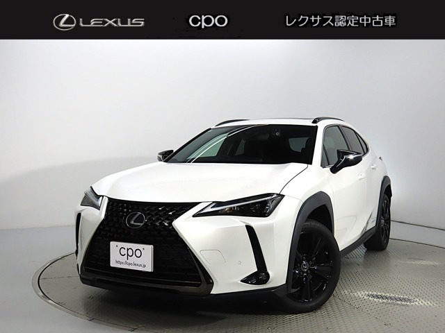 UX 250h