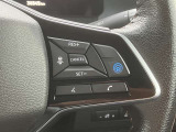 プロパイロットがあれば前の車を追従走行をしてくれるので運転負担がかなり軽減します!これで旅先でも帰り道も思う存分楽しむことができますね!