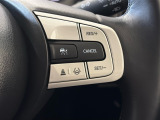 追従型クルーズコントロールスイッチです