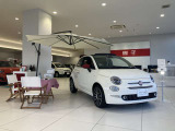 当店のショールームには、カラフルな車が展示されています!鮮やかな色合いと個性的なデザインで、どのお車も目を引くことでしょう。ぜひ、お好きな色やデザインを見つけてください!