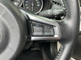 オートクルーズコントロールですので快適にお過ごしいただけます。