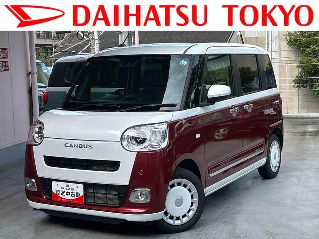 ムーヴキャンバス  ストライプス G
