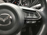 クルーズコントロール機能付きです