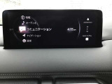 オーディオソースはこのようになっています。