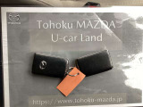 便利なアドバンストキーですので、カギを取り出さなくても開け閉めができます。