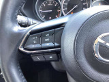 ステアリング左にはオーディオ系システムがまとまっており、運転中の快適性をサポートしてくれます。