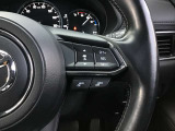 レーダークルーズコントロールの速度設定変更も簡単にできます。
