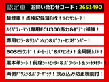 エルグランド 3.5 ライダー ハイパフォーマンススペック ブラックライン 