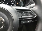 クルーズコントロールスイッチ 長距離のドライブもさらに快適になります。