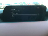 オーディオソースはこのようになっています。