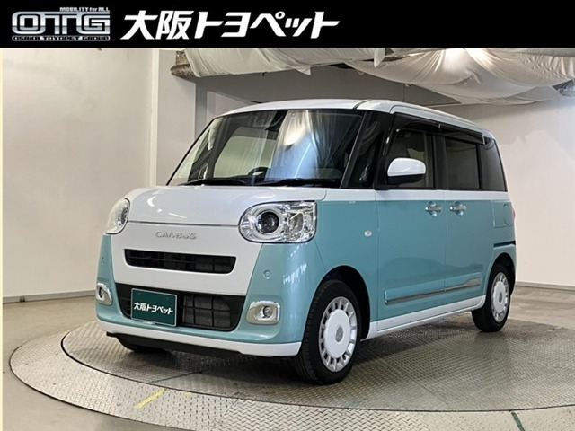 ムーヴキャンバス  ストライプス G