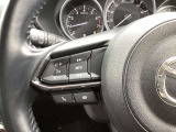 ステアリング左にはオーディオ系システムがまとまっており、運転中の快適性をサポートしてくれます。