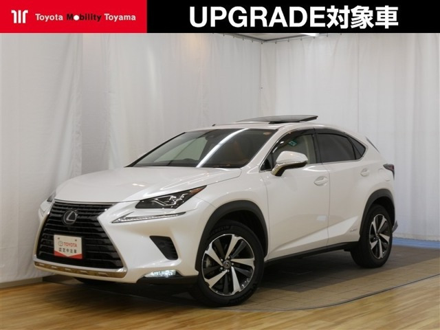 NX 300h バージョンL 4WD
