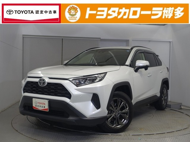 RAV4 2.0 X