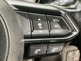 ステアリング上に複数のスイッチをまとめ、手元で機能を選びやすい配置です。文字やアイコンで内容を確認しながら使えるため、運転姿勢を保ったまま操作しやすい装備です。